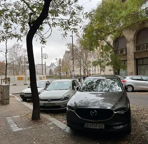 11# Sunflower Cozy * Budapesta