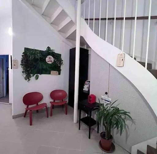 11# Sunflower Cozy Budapesta